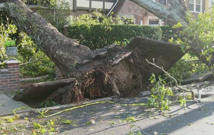 Emergency Storm in Sanford, Florida